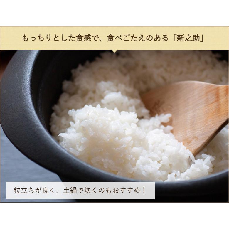 南魚沼産 新之助 玄米10kg  株式会社 まつえんどん 送料無料