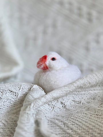 白文鳥 羊毛氈9cmx4.5cmx5cm