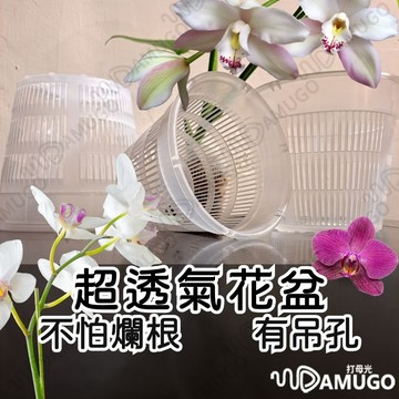 【超級透氣】蘭花盆 花盆 透氣盆 蘭花盆11cm 控根盆 青山盆 觀葉植物盆 網盆 透氣蘭花盆 透氣網盆