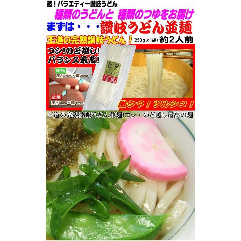 小松屋 麺BOX 超バラエティー讃岐うどん（10人前）