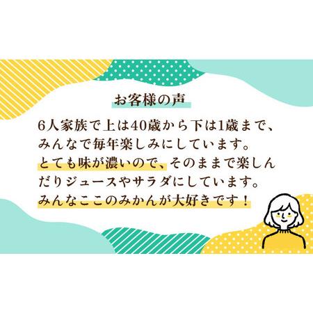 ふるさと納税 糸島産 旬の柑橘詰め合わせセット 糸島市   シーブ 紅八朔 ネーブル はるか [AHC062] 福岡県糸島市