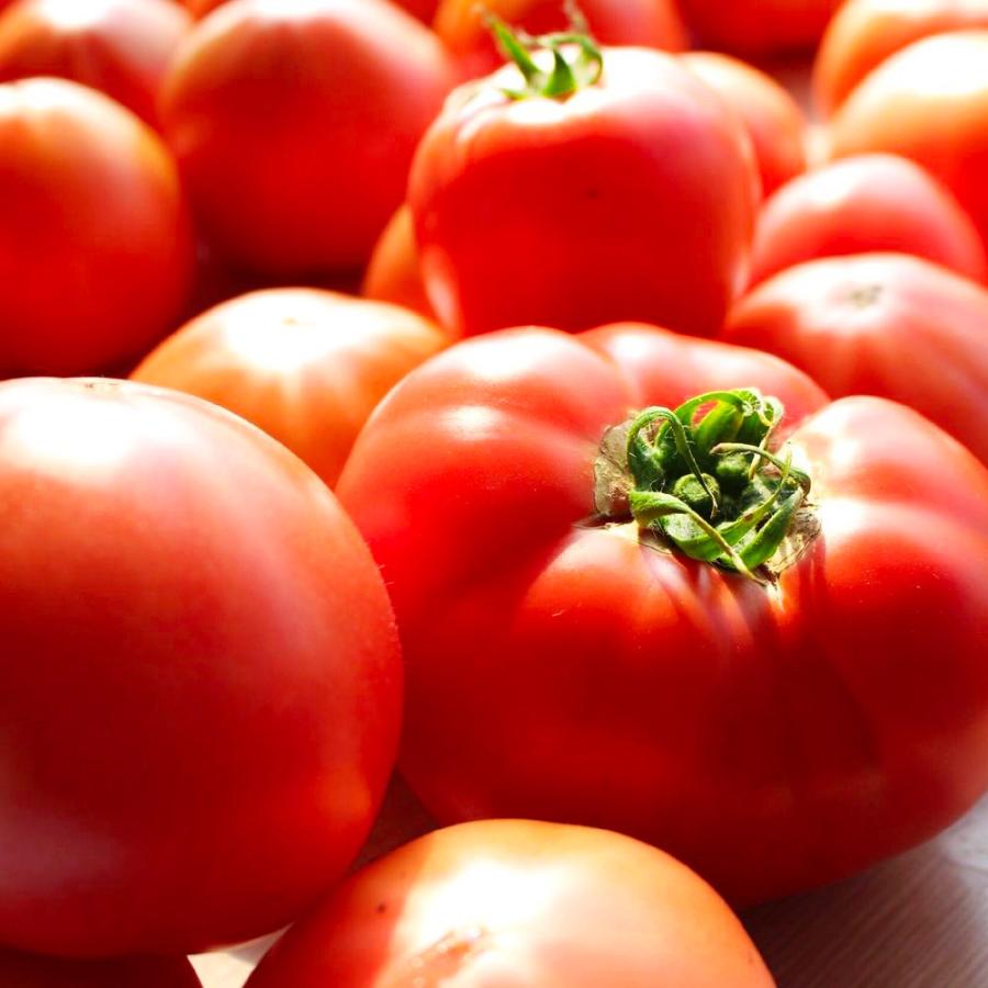 プレミアムトマト（訳ありトマト）2kg 農薬不使用・化学肥料不使用