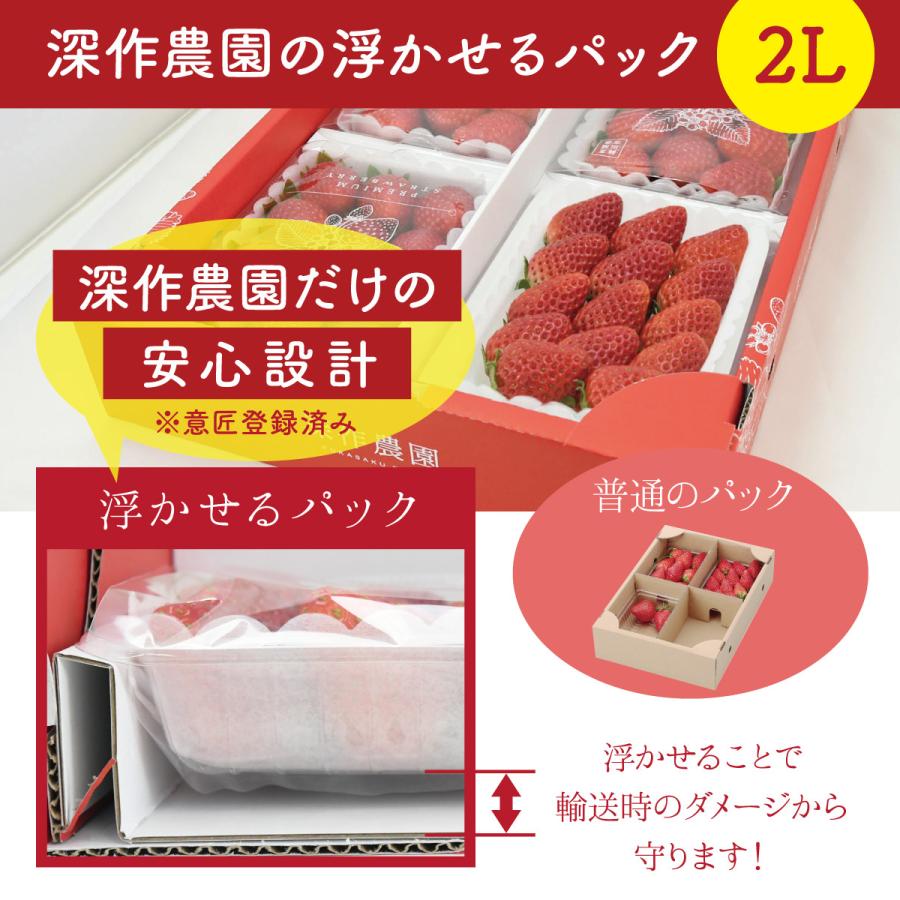 いちご イチゴ 苺 果物 ギフト 旬 フルーツ 品種指定なし 2Lサイズ×4パック