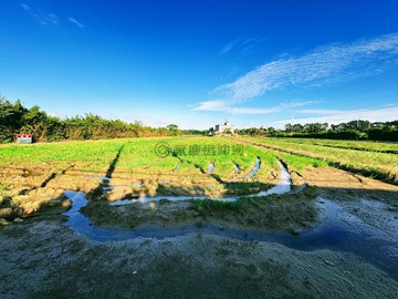 新竹新豐景碩旁都內農地｜新竹縣新豐鄉新庄子