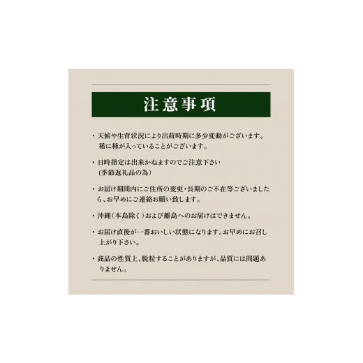 ふるさと納税 山梨県 笛吹市 超朝採れシャインマスカット 2〜3房 約1.2kg 山梨県 笛吹市 ※冷蔵配送 (2024年9月中旬から順次発送予定) …