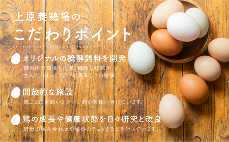 はっこう卵　3種食べ比べMS~Lサイズ 55個 破卵保障5個 卵 種類 サイズ おまかせ 白卵 30個 赤卵 20個 青卵 10個 アローカナ たまご タマゴ 食比べ 生卵 味卵 煮卵 目玉焼き ゆで卵 キッシュ 沖縄 糸満市 上原養鶏場 10000円