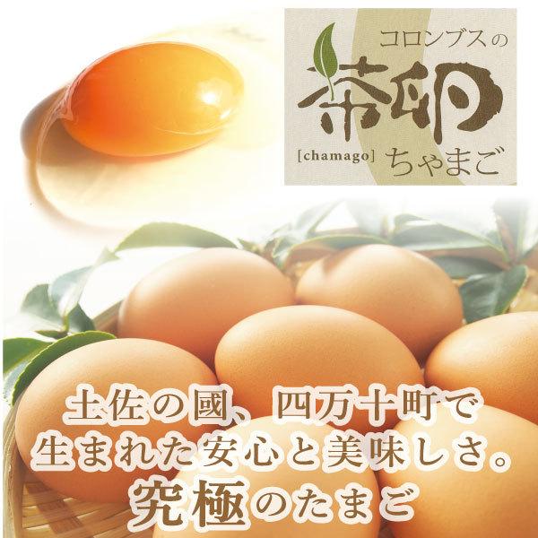 高知県四万十町産 コロンブスの茶卵6個入　こだわり卵 コロンブスの茶卵 高知卵 アレルギー 卵