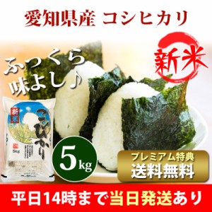 新米 米 5kg 愛知県産 コシヒカリ 令和5年産 お米 5kg プレミアム特典 送料無料 北海道・沖縄配送不可 即日発送 クーポン対象 5キロ 安い