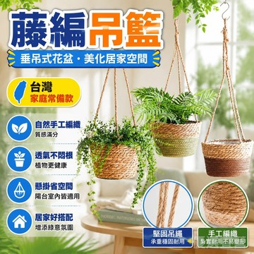臺灣有貨⚡藤編編織草編吊籃垂吊式花盆綠蘿盆掛式花盆懸掛式花籃掛墻壁掛式 U0NS