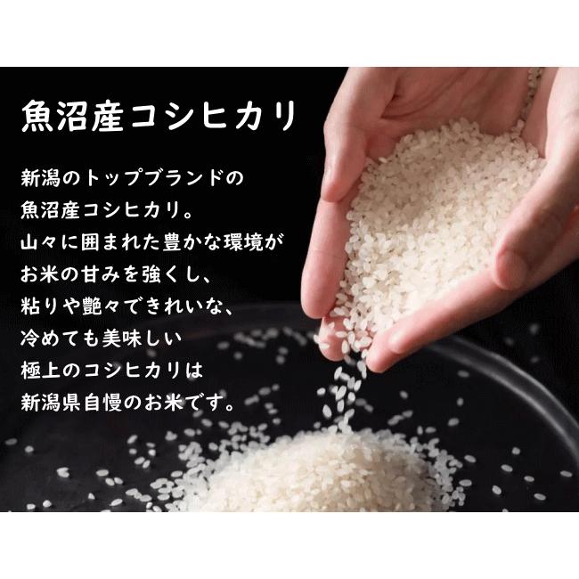 送料無料 令和５年産 魚沼産コシヒカリ 1kg おこめ 精米 新潟