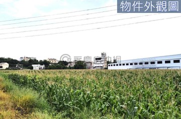 甲后路三環路口千坪農地★近麗寶樂園、花博、交流道｜台中市外埔區永豐段