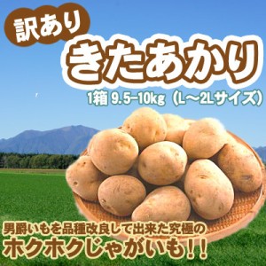 きたあかり 訳あり 北海道 じゃがいも L-2Lサイズ9.5-10kg前後 送料無料 ※沖縄は送料別途加算 キタアカリ