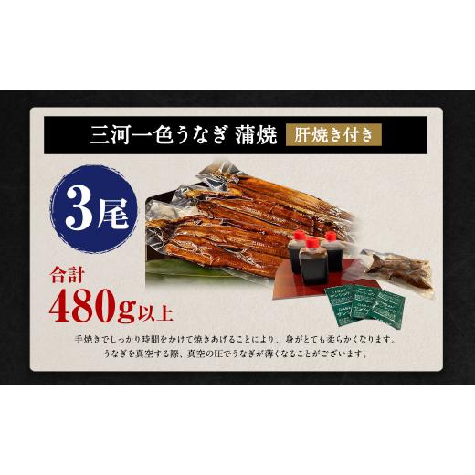 ふるさと納税 愛知県 幸田町 三河一色うなぎ蒲焼 3尾(肝焼き付き)うなぎ 蒲焼