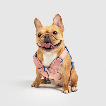 SPUTNIK 10TH YEAR 胸背帶-粉色