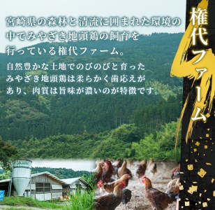 U-A3 ＜認定農家直送＞のびのびと育てたみやざき地頭鶏の生肉セット(合計1kg・モモ肉300g×2P、ムネ肉200g×2P)炭焼やソテー、鶏すき焼きに