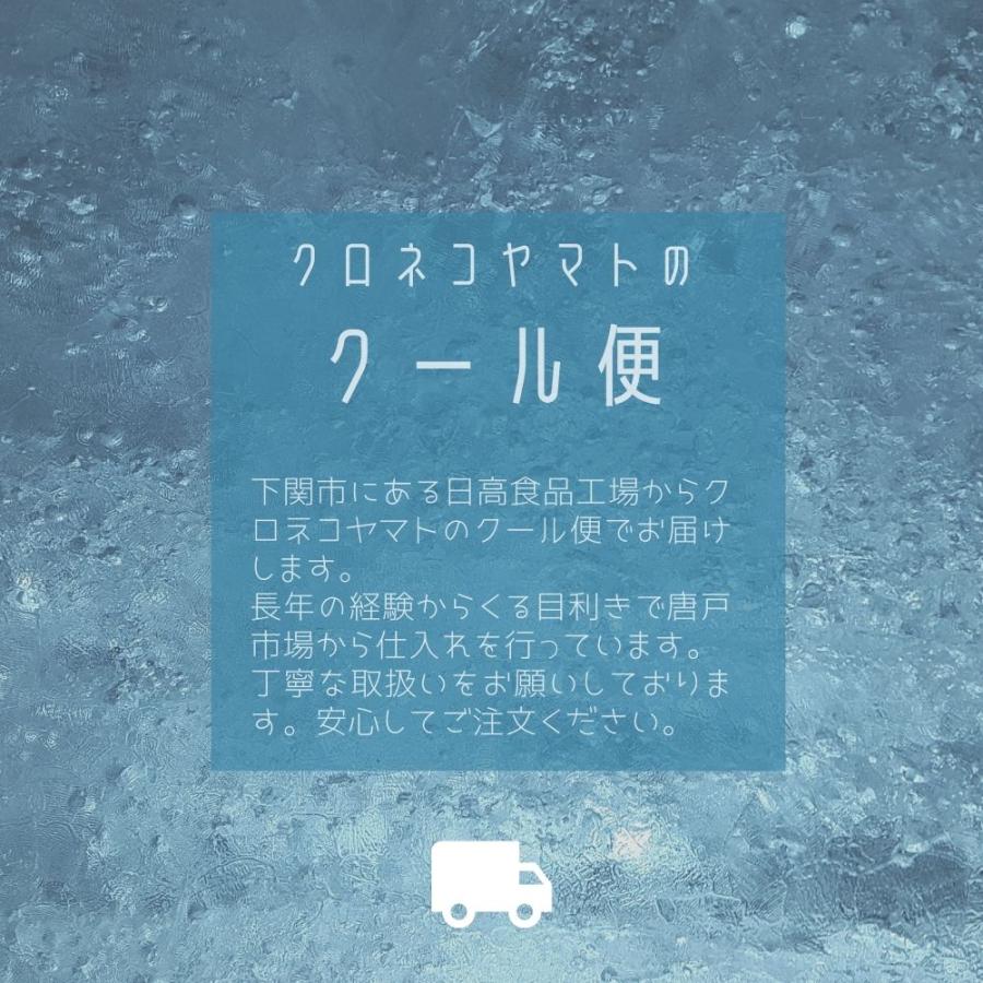 ふぐ料理セット（刺身・ちり）約2-3人前・冷蔵 ギフト お取り寄せ 宅配