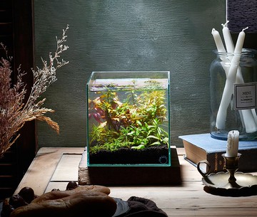 【ECO ZERO】SE+ Cube 透明光科技 水族生態過濾魚缸 (公司貨)