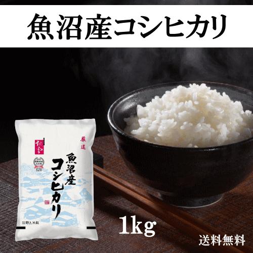 送料無料 令和５年産 魚沼産コシヒカリ 1kg おこめ 精米 新潟