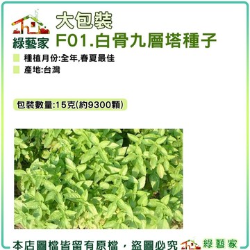 【綠藝家】大包裝F01.九層塔 (白骨羅勒)種子15克(約9300顆) 九層塔 白骨羅勒 白骨九層塔 香辛類種子