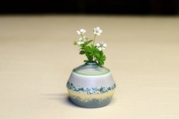 獨一無二的花瓶 iIw-024