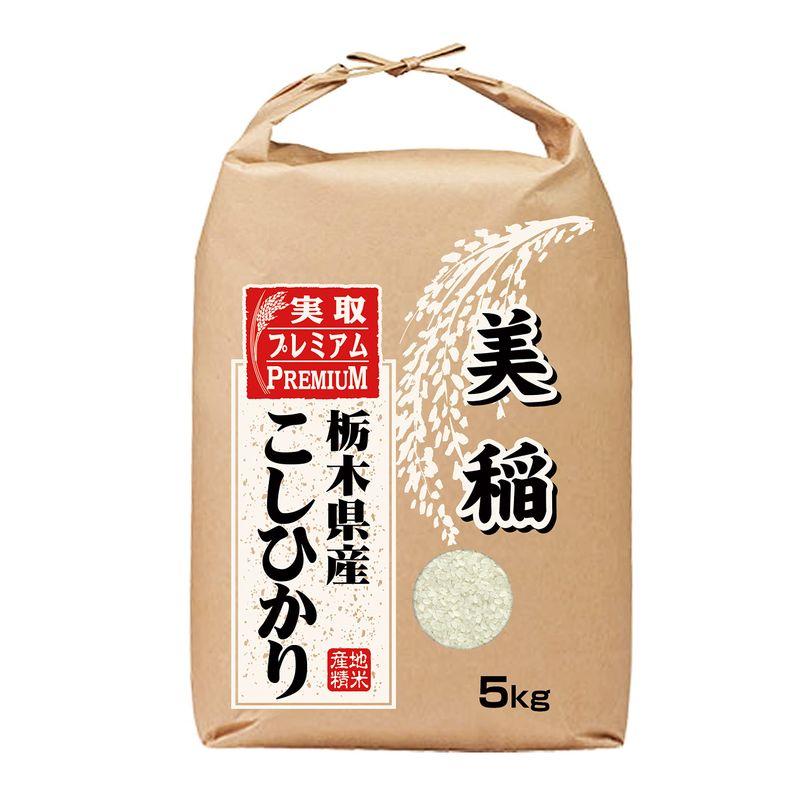 こしひかり 美稲 栃木県産 白米 コシヒカリ 令和4年産