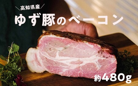 高知県産 ゆず豚or栗豚のベーコン（約480g）無添加 ブロック 高級 燻しベーコン 熟成 おつまみ 冷凍