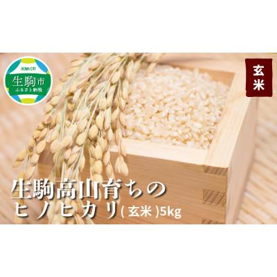 ふるさと納税 生駒市 ヒノヒカリ玄米5kg(5kg×1)