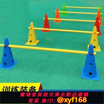{可打統編 保固一年}跨欄訓練器材標志桶籃球障礙物標志盤桿碟雪糕筒兒童跆拳道路障樁