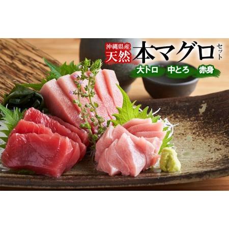 ふるさと納税 沖縄県産 天然本マグロセット 約1kg 赤身約400g  中トロ約300g  大トロ約300g )｜マグロ 刺身 セット 沖縄県那覇市