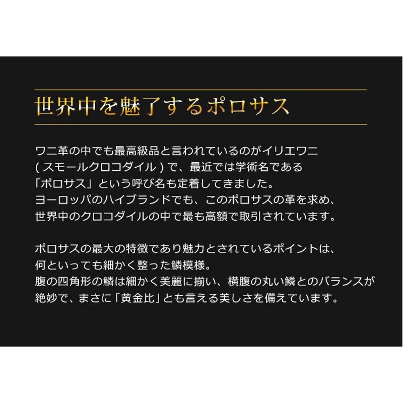 スモール クロコダイル 名刺入れ レディース マット 加工 通しマチ