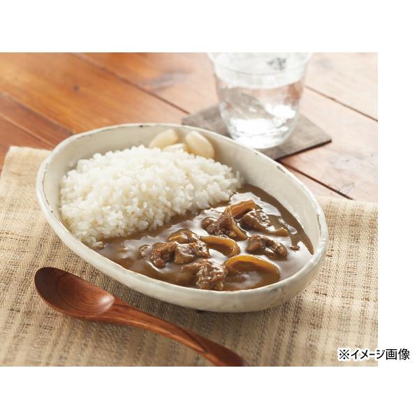 鰹がきいてる和のカレー 4食 鰹がきいてる和のカレー180g×4 レトルト DS-20 内祝い お祝い 返礼品 贈答 進物 ギフトプレゼント 税率8％