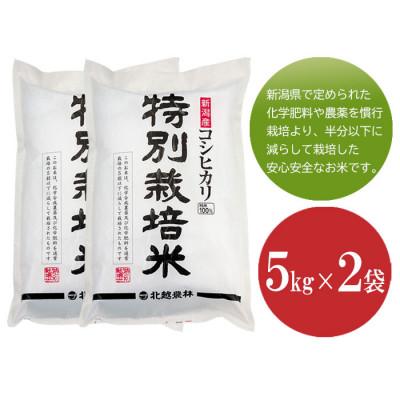 ふるさと納税 新潟県 新潟産コシヒカリ 特別栽培米10kg 令和5年産