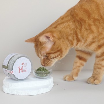 【貓零食】Hyperr超躍 A級嫩葉貓草 15g 貓薄荷 紓壓