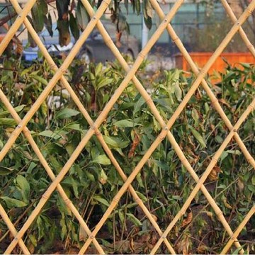 竹籬笆柵欄棚架蔬菜絲瓜庭園柵欄彩旗細大棚菜園蔬菜架防腐青竹