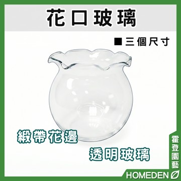【隔日到貨】花口玻璃 玻璃花器 鬥魚缸 緞帶花邊 小花瓶 台灣製造【HOMEDEN霍登園藝】