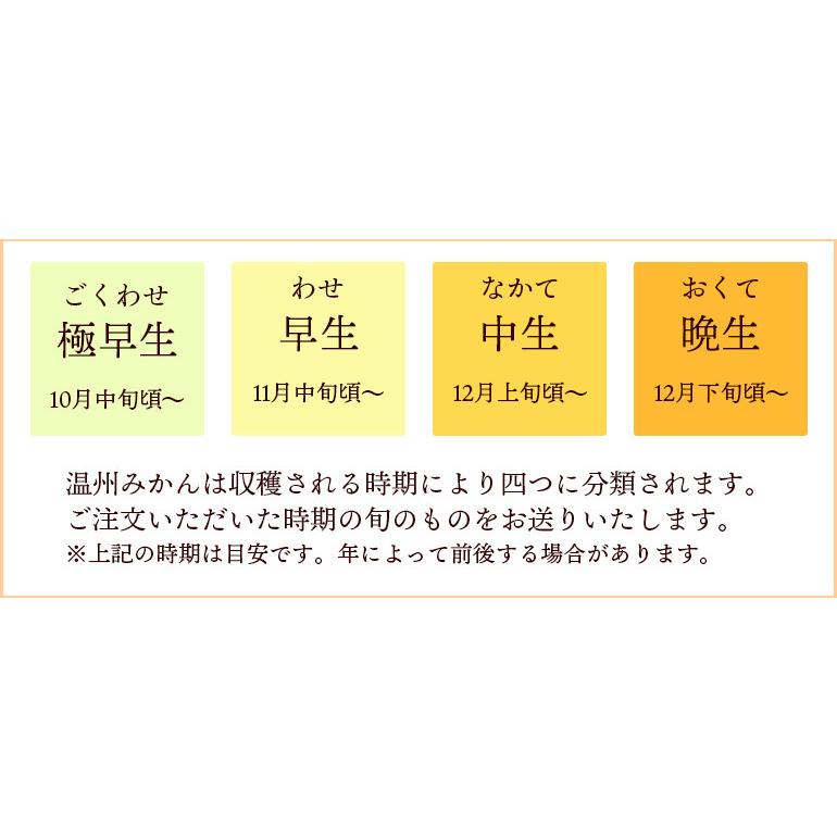 太陽園 有田みかん 約10kg 秀品 3Lサイズ 送料無料 和歌山県産 温州みかん ご注文受付順に入荷次第順次発送