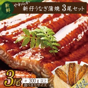 AD-105　やわらか新仔うなぎ食べ切りサイズ100～120g　3尾　計300ｇ以上