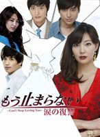 もう止まらない～涙の復讐～ DVD-BOX [DVD]