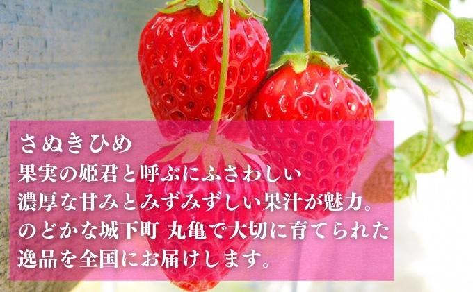 讃州丸亀 果実の姫君 さぬきひめ苺 8パック（約2kg）JA香川県