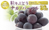 粒々ぶどう36粒 ナガノパープル ぶどう 葡萄 果物 フルーツ お取り寄せ ※2023年8月下旬頃より順次発送予定