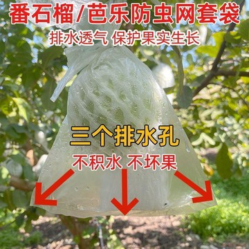 桃園出貨🍂番石榴套袋芭樂網套紅心番石榴專用防蟲網套袋水果一體泡沫網批發
