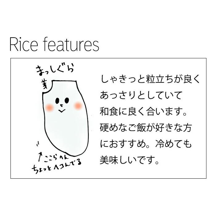 新米 米 30kg 青森県産 5年産  まっしぐら 玄米30kg 青森まっし 人気