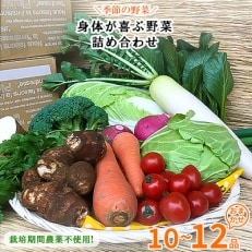 栽培期間農薬不使用『身体が喜ぶ野菜』(おまかせ10～12品)