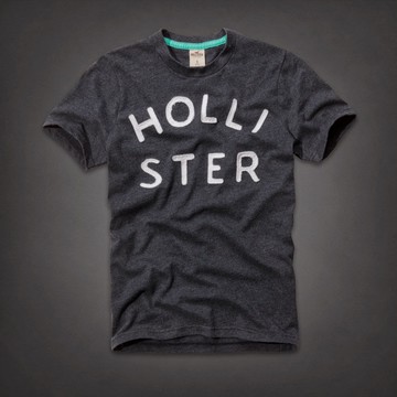 美國百分百【Hollister Co.】T恤 HCO 短袖 T-shirt 海鷗 藏藍 文字 貼布 Logo E749