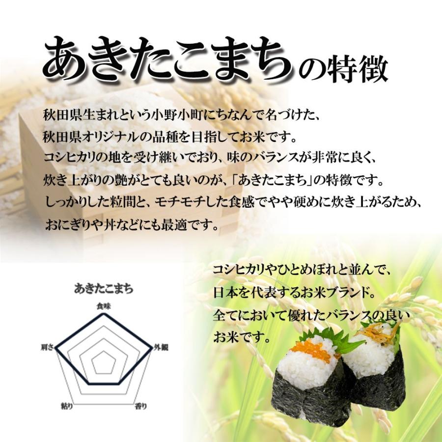 あきたこまち 愛媛県産 新米 2023年 玄米 精米可 約10kg 送料無料