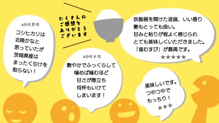 茨城県筑西市産 コシヒカリ15kg 米 コメ コシヒカリ こしひかり 茨城県 単一米 精米  [CH017ci]