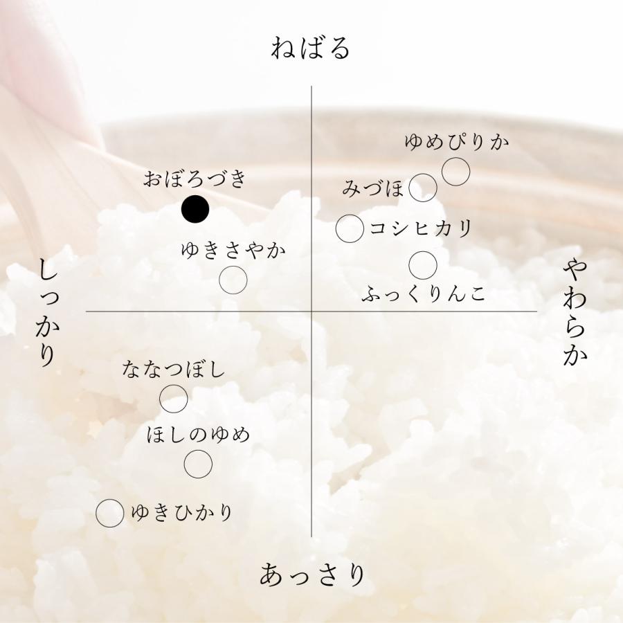 新米 産地限定 おぼろづき 5kg 北海道産 白米 令和5年産 米 お米 送料無料 真空パックに変更可