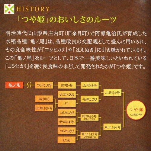 山形県産 特別栽培米 つや姫30ｋｇ 令和5年度産 一等米玄米 新米