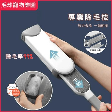 【隔日到貨】衣物刮毛器 除毛器 衣物去毛神器 除毛刷 刮毛刷 可拆解 兩用除毛刷 除貓毛 狗毛 粘毛器 雙面可用 除毛梳