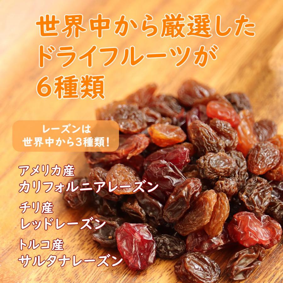 大地の生菓  ナッツ ドライフルーツ 9種類のナッツ＆ドライフルーツ ミックス 500ｇ 砂糖不使用 送料無料 クリスマス ギフト プレゼント 2023